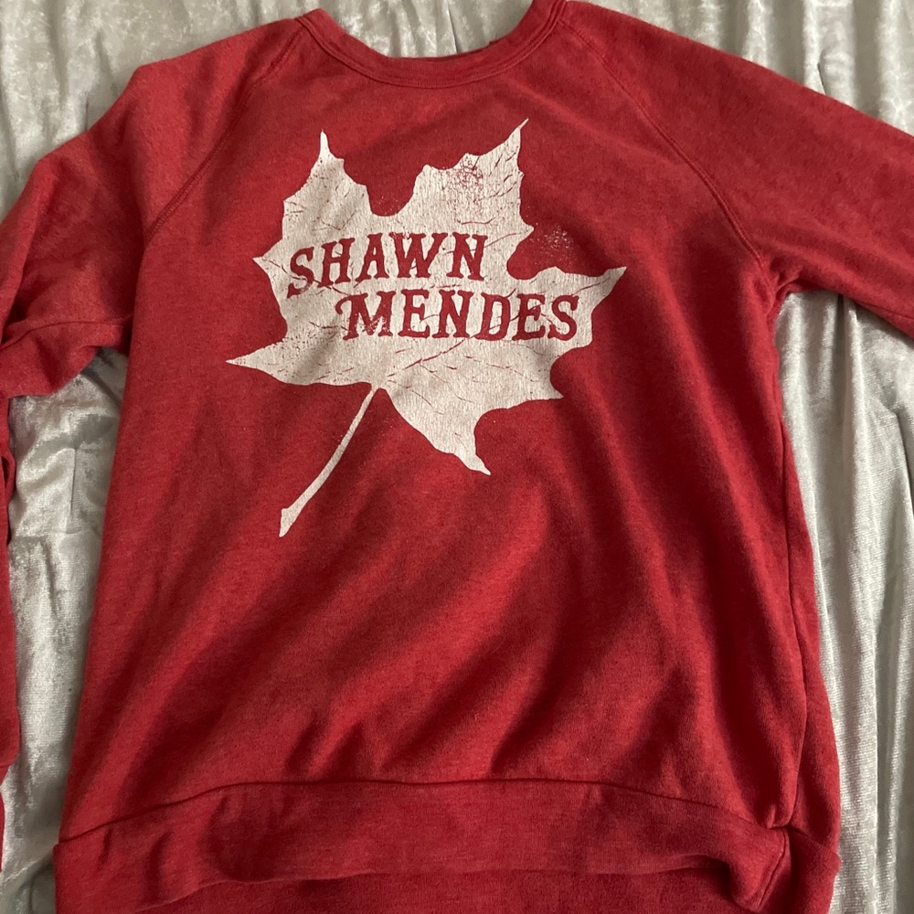shawn mendez concert sweater